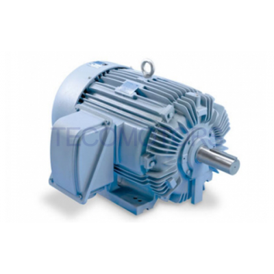 TECO IEEE-841 Motors