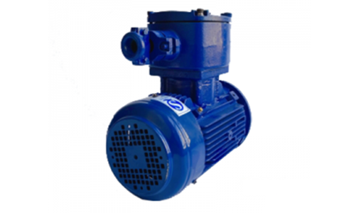 TECO Exd IICT4 Explosion-Proof Motor